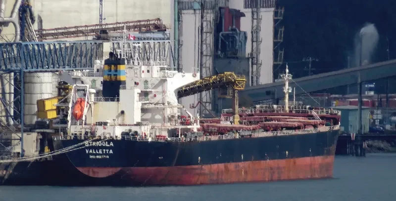 STRIGGLA Bulk Carrier IMO 9465710 photo 5