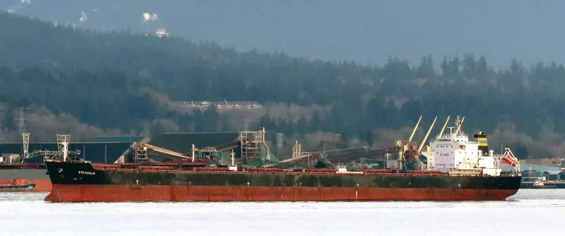 STRIGGLA Bulk Carrier IMO 9465710 photo 10
