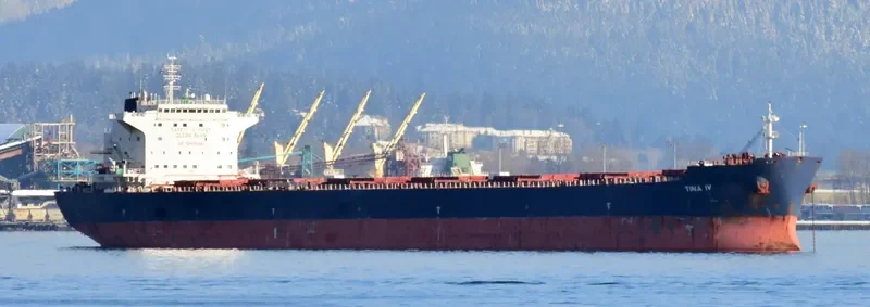 TINA IV Bulk Carrier IMO 9465772 photo 2