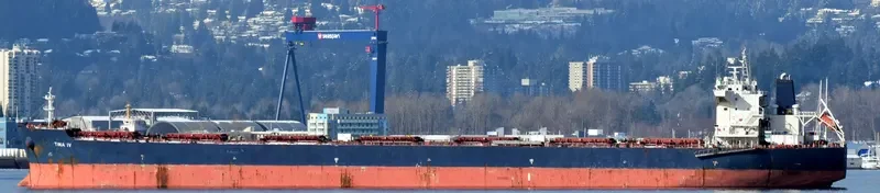 TINA IV Bulk Carrier IMO 9465772 photo 3