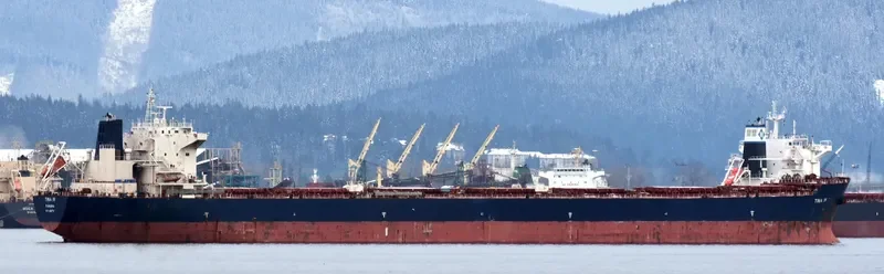 TINA IV Bulk Carrier IMO 9465772 photo 4