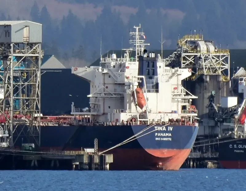 TINA IV Bulk Carrier IMO 9465772 photo 5