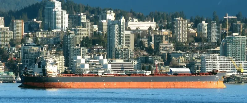 TINA IV Bulk Carrier IMO 9465772 photo 7