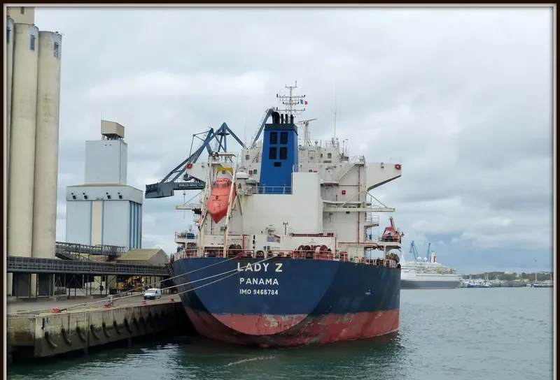NAVIOS CAMELIA Bulk Carrier IMO 9465784 photo 2