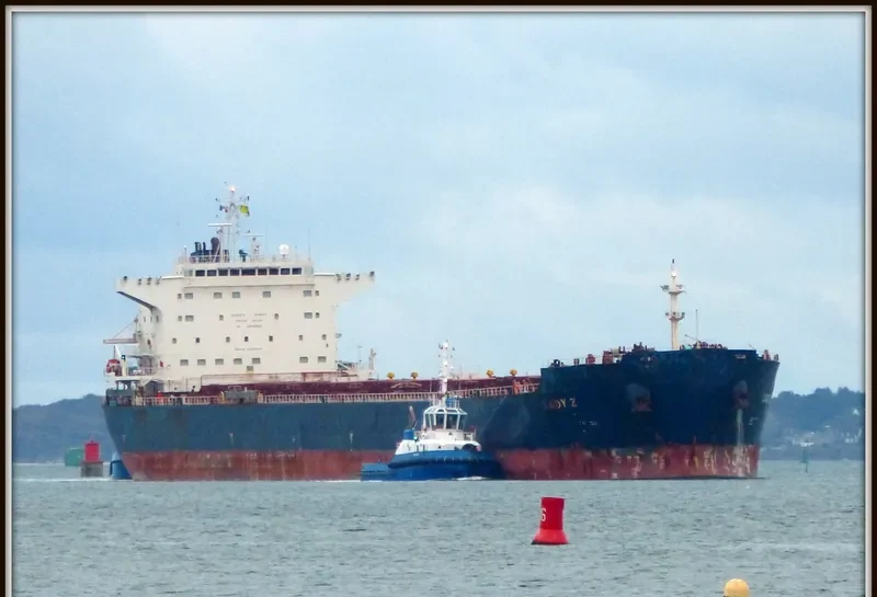 NAVIOS CAMELIA Bulk Carrier IMO 9465784 photo 4
