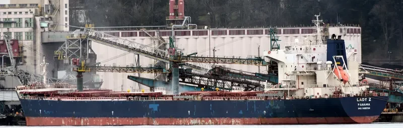 NAVIOS CAMELIA Bulk Carrier IMO 9465784 photo 6