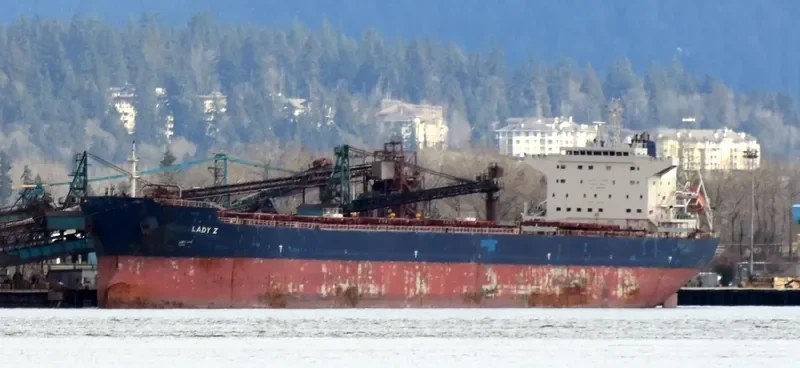 NAVIOS CAMELIA Bulk Carrier IMO 9465784 photo 8