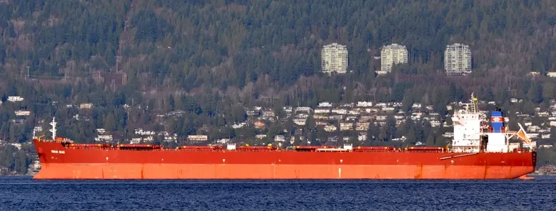 JIA XI Bulk Carrier IMO 9465796 photo 6