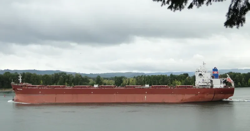 JIA XI Bulk Carrier IMO 9465796 photo 10