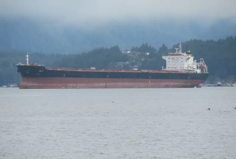 AMALFI Bulk Carrier IMO 9465801