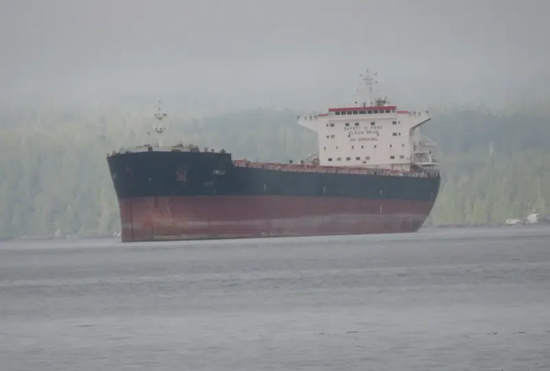AMALFI Bulk Carrier IMO 9465801 photo 2