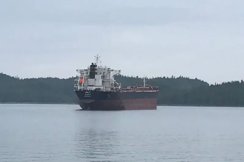 AMALFI Bulk Carrier IMO 9465801 photo 3
