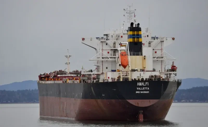 AMALFI Bulk Carrier IMO 9465801 photo 7