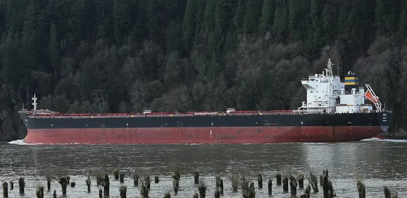 AMALFI Bulk Carrier IMO 9465801 photo 8