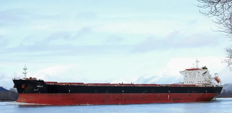 AMALFI Bulk Carrier IMO 9465801 photo 10