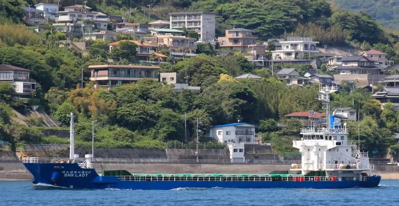 SNK LADY General Cargo IMO 9466166 photo 7