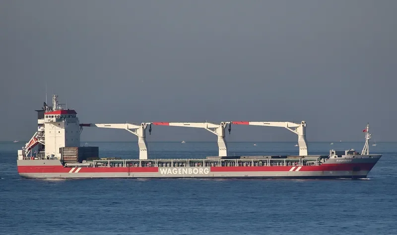 AMURBORG General Cargo IMO 9466336 photo 9
