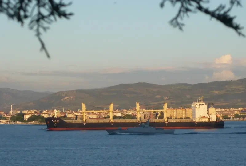 JIU HUA HAI Bulk Carrier IMO 9466520 photo 4