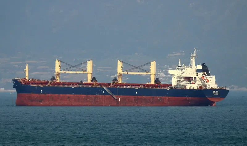 PURE VISION Bulk Carrier IMO 9466879