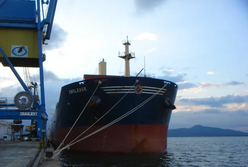 ESPERIA Bulk Carrier IMO 9466893 photo 6