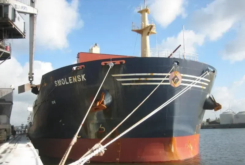ESPERIA Bulk Carrier IMO 9466893 photo 8