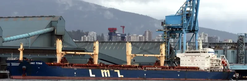 LMZ TITAN Bulk Carrier IMO 9466908