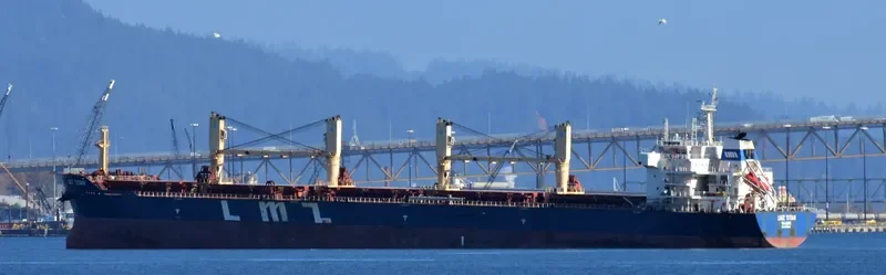 LMZ TITAN Bulk Carrier IMO 9466908 photo 3