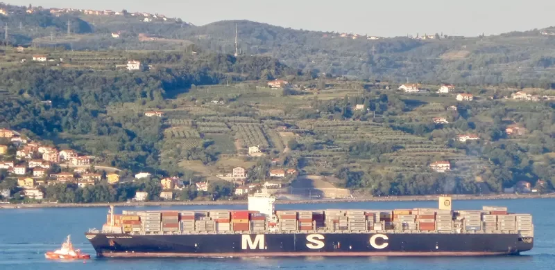 MSC LAUREN Container Ship IMO 9467407 photo 6