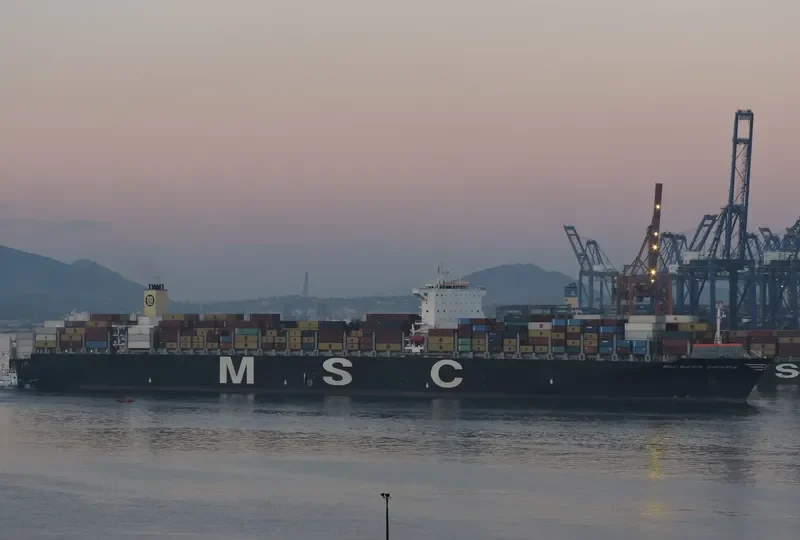MSC MARIA SAVERIA Container Ship IMO 9467421