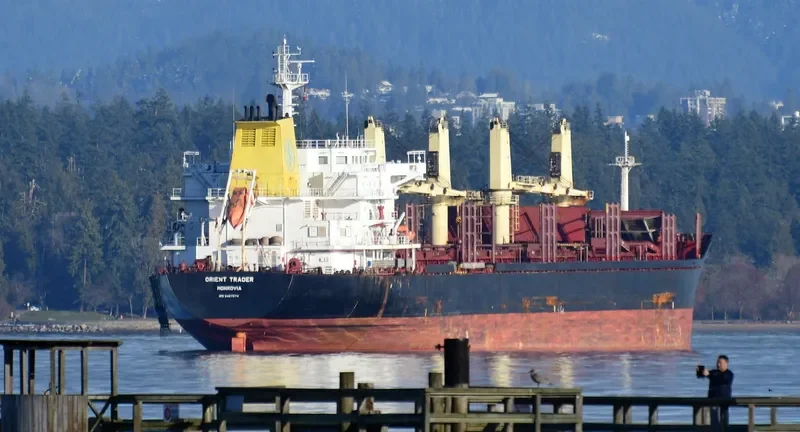 ORIENT TRADER Bulk Carrier IMO 9467574 photo 3