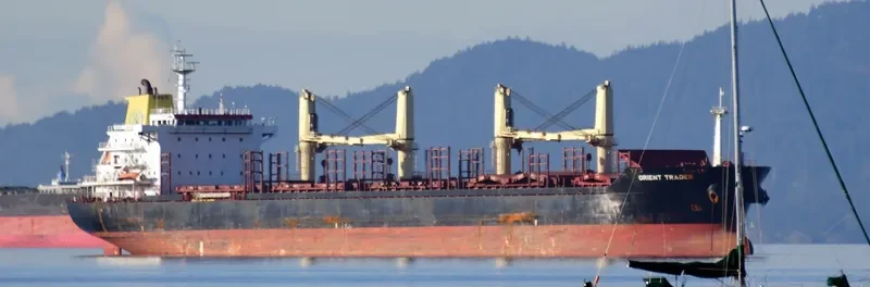 ORIENT TRADER Bulk Carrier IMO 9467574 photo 6