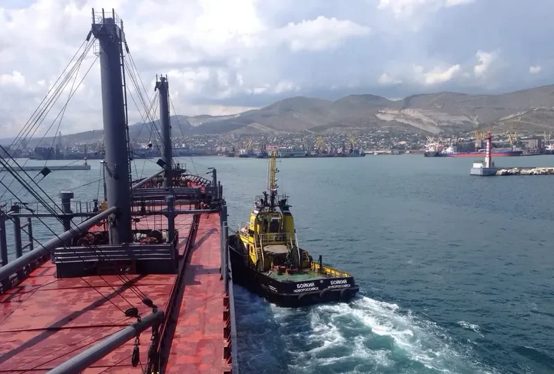 BERGE NIMBA Bulk Carrier IMO 9467677