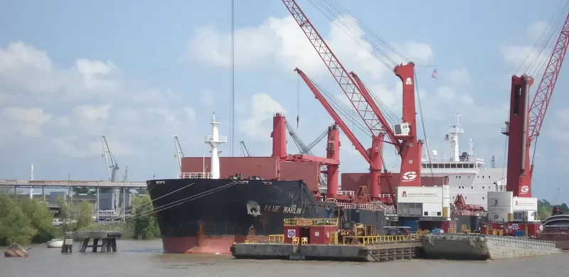 XIN HAI JIA Bulk Carrier IMO 9467859 photo 8