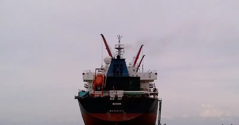 PANGEO Bulk Carrier IMO 9467873 photo 2