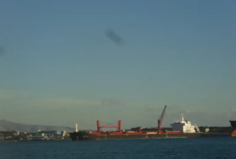 PANGEO Bulk Carrier IMO 9467873 photo 5