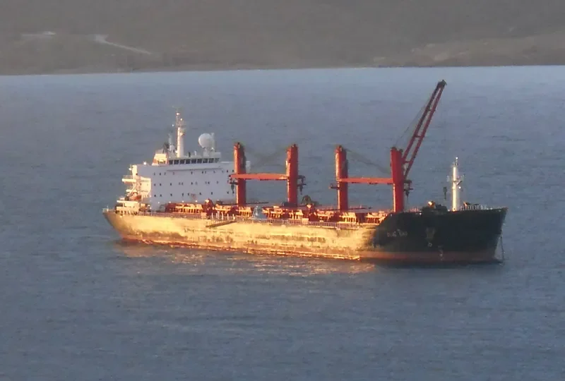 PANGEO Bulk Carrier IMO 9467873 photo 7