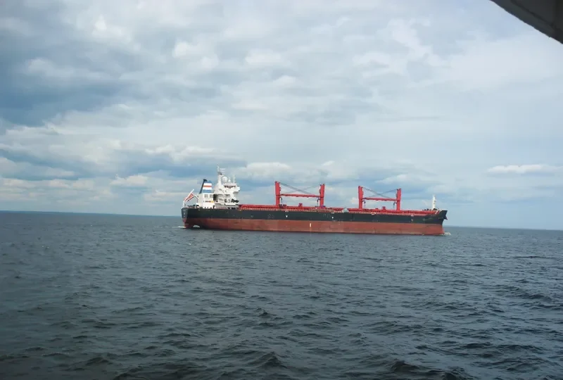 PANGEO Bulk Carrier IMO 9467873 photo 9