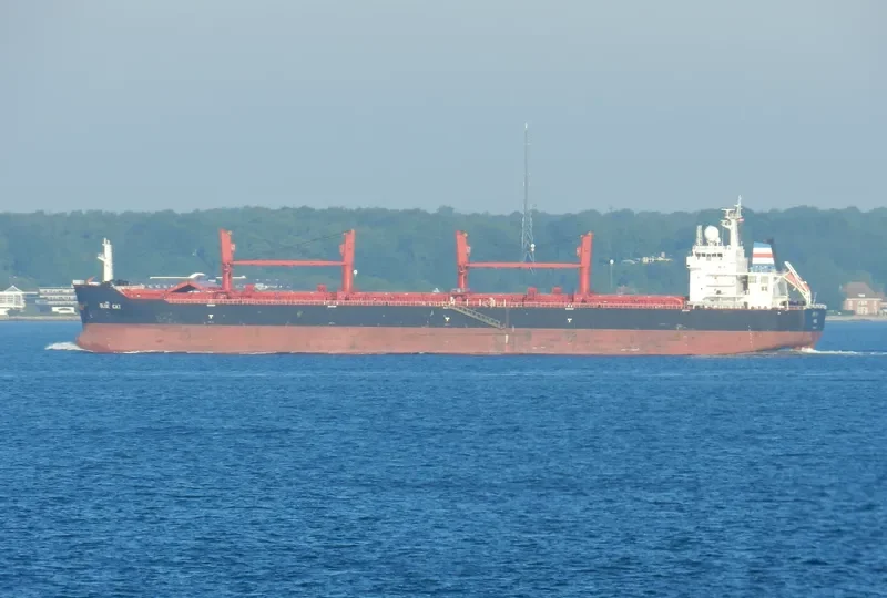 PANGEO Bulk Carrier IMO 9467873 photo 10