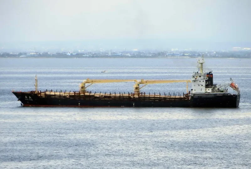 PEACE GRACE Bulk Carrier IMO 9467914 photo 6