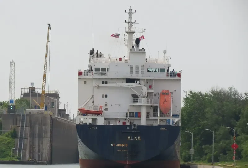 ALANIS General Cargo IMO 9468085 photo 4