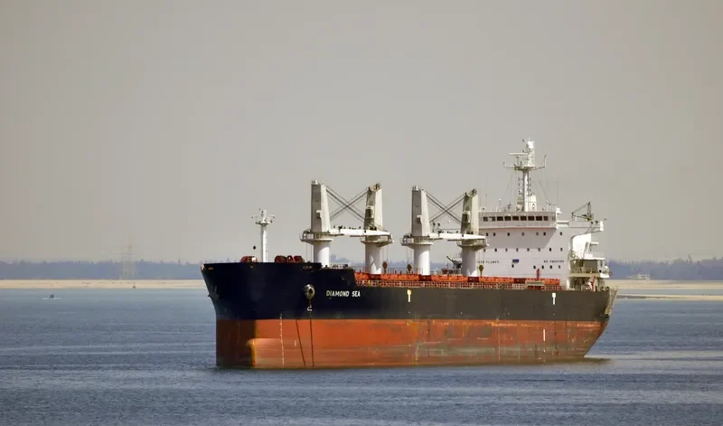 DIAMOND SEA Bulk Carrier IMO 9468152