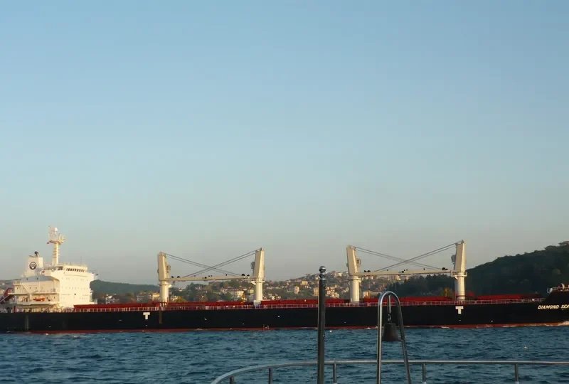 DIAMOND SEA Bulk Carrier IMO 9468152 photo 5