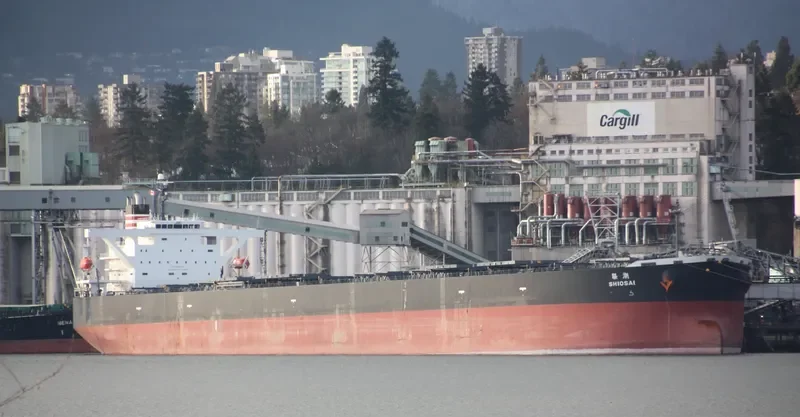 SHIOSAI Bulk Carrier IMO 9468188 photo 2