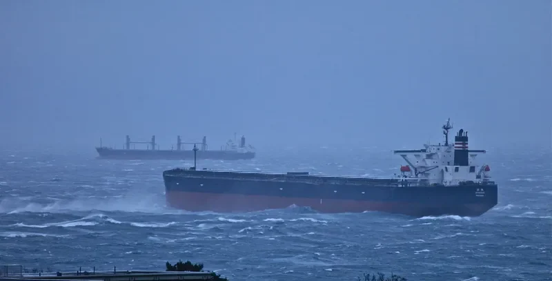 SHIOSAI Bulk Carrier IMO 9468188 photo 3
