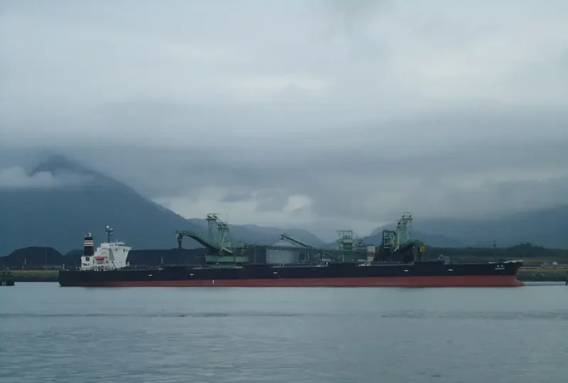 SHIOSAI Bulk Carrier IMO 9468188 photo 7