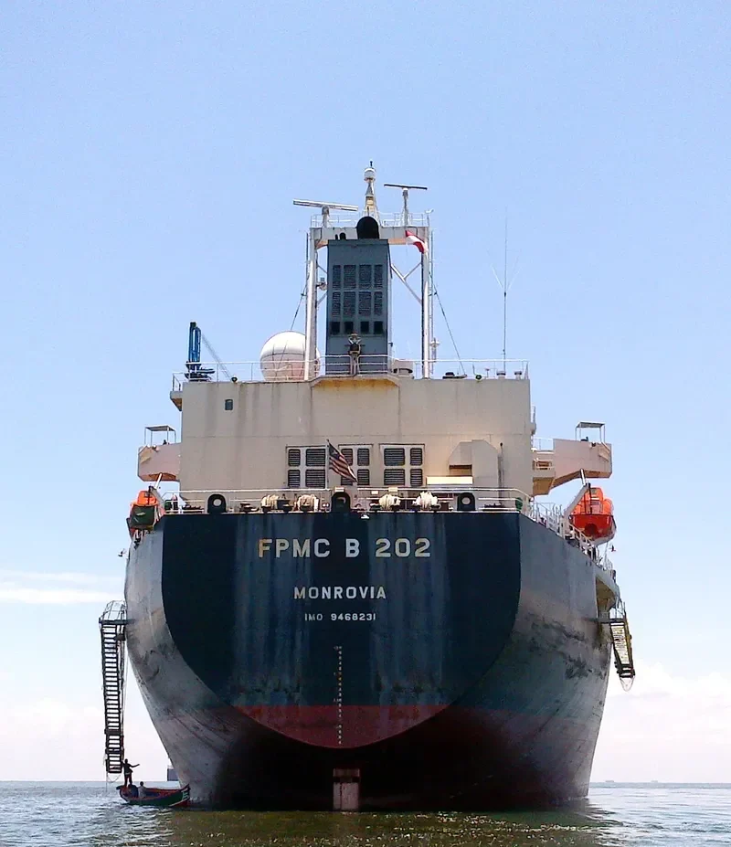 FPMC B 202 Bulk Carrier IMO 9468231 photo 4