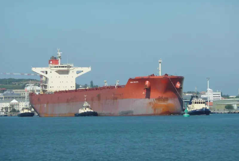 SUN ORCHID Bulk Carrier IMO 9468401
