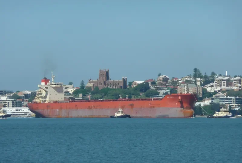 SUN ORCHID Bulk Carrier IMO 9468401 photo 2