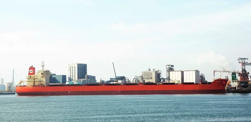 SUN ORCHID Bulk Carrier IMO 9468401 photo 3