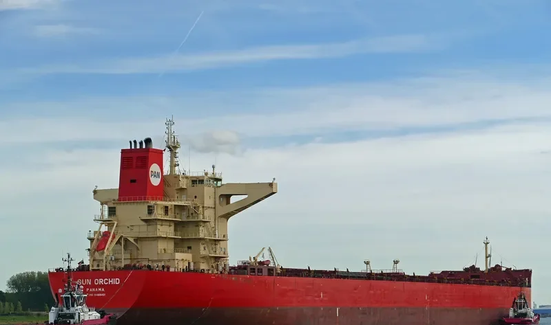 SUN ORCHID Bulk Carrier IMO 9468401 photo 4
